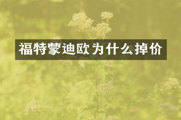 福特蒙迪欧为什么掉价