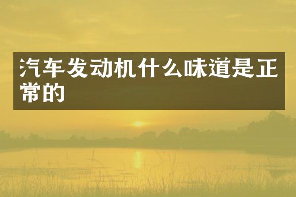 汽车发动机什么味道是正常的