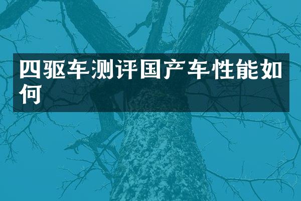 四驱车测评国产车性能如何