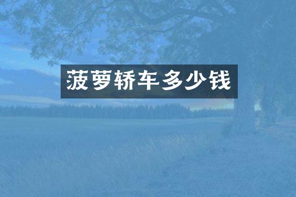 菠萝轿车多少钱