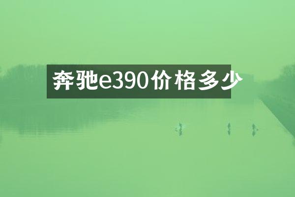奔驰e390价格多少