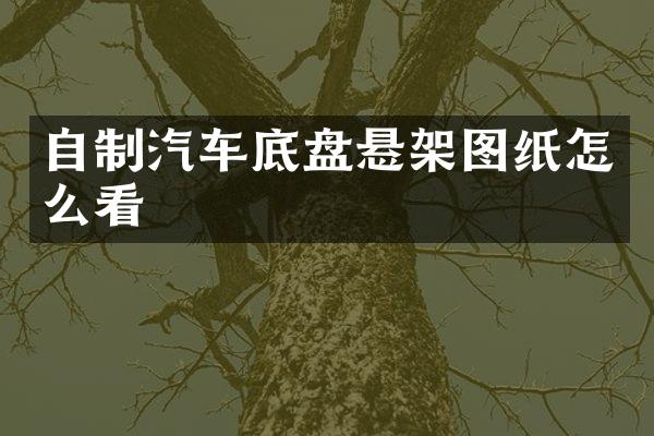 自制汽车底盘悬架图纸怎么看