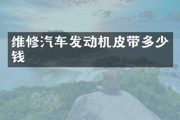 维修汽车发动机皮带多少钱