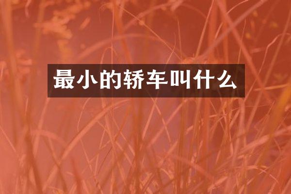最小的轿车叫什么