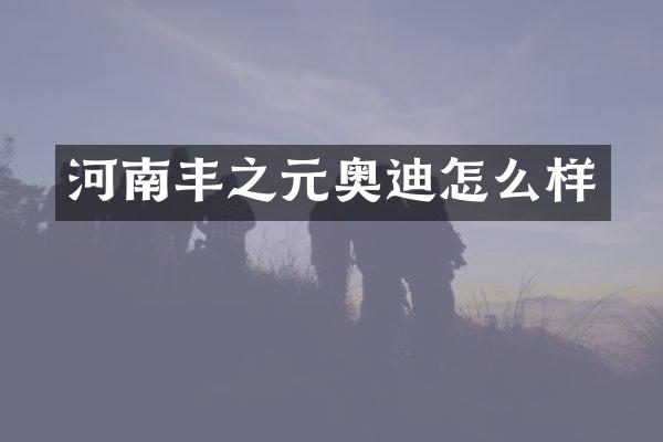 河南丰之元奥迪怎么样
