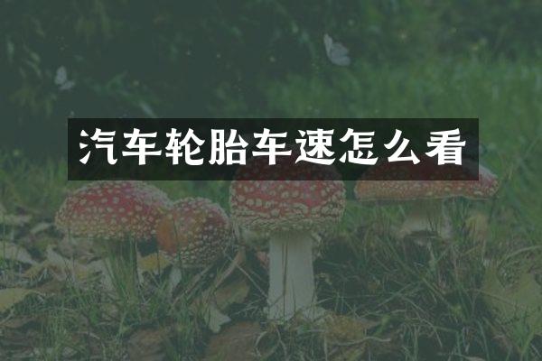 汽车轮胎车速怎么看