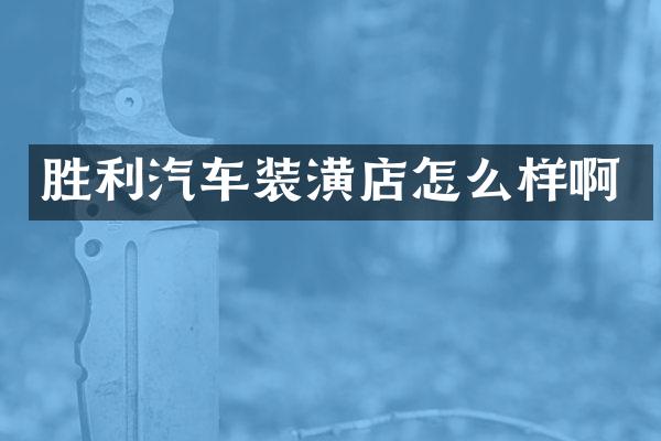 胜利汽车装潢店怎么样啊