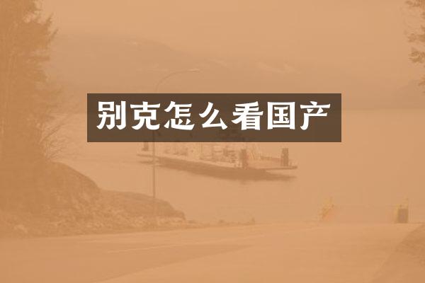 别克怎么看国产