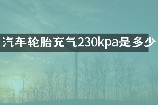 汽车轮胎充气230kpa是多少