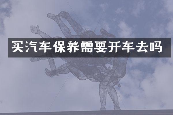 买汽车保养需要开车去吗