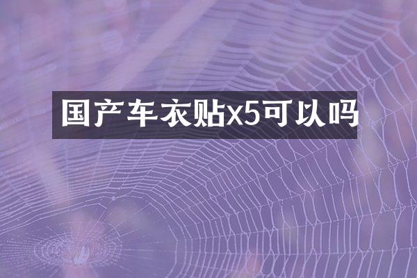 国产车衣贴x5可以吗
