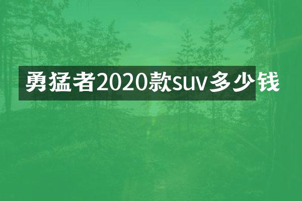 勇猛者2020款suv多少钱