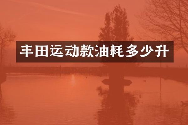 丰田运动款油耗多少升