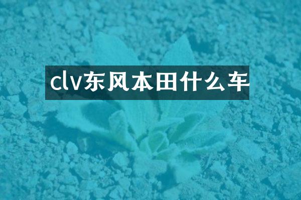 clv东风本田什么车
