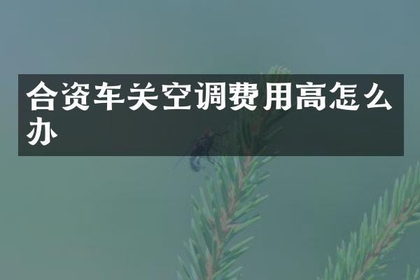 合资车关空调费用高怎么办