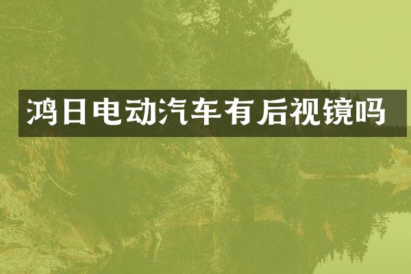 鸿日电动汽车有后视镜吗