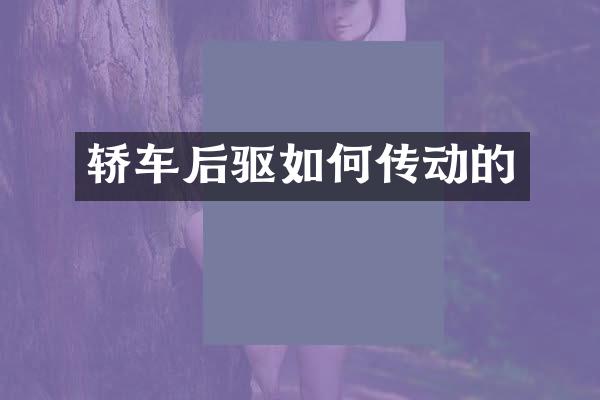 轿车后驱如何传动的