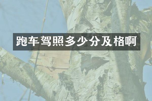 跑车驾照多少分及格啊