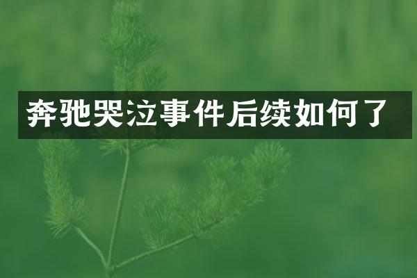 奔驰哭泣事件后续如何了