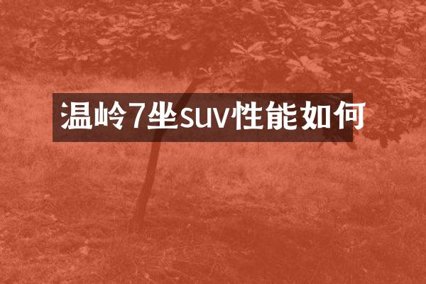 温岭7坐suv性能如何