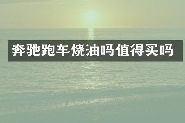 奔驰跑车烧油吗值得买吗