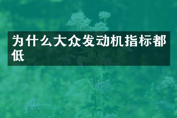 为什么大众发动机指标都低