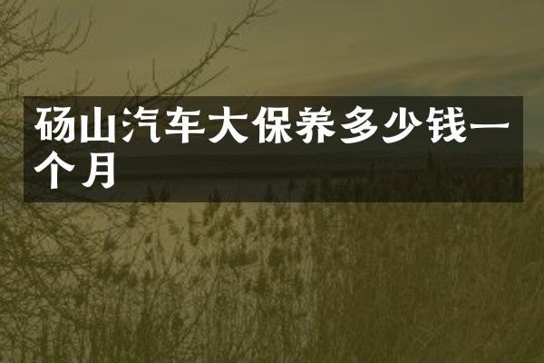 砀山汽车大保养多少钱一个月