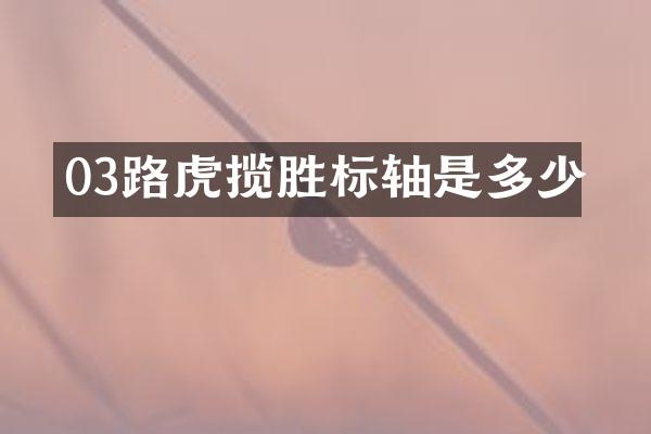 03路虎揽胜标轴是多少