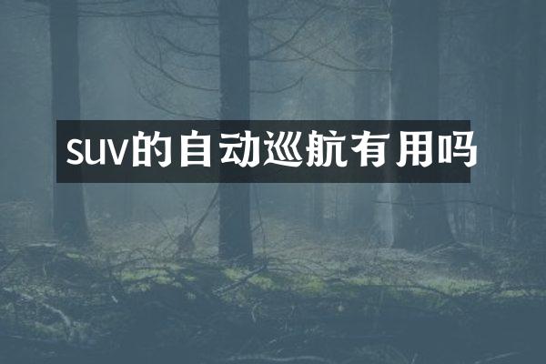 suv的自动巡航有用吗