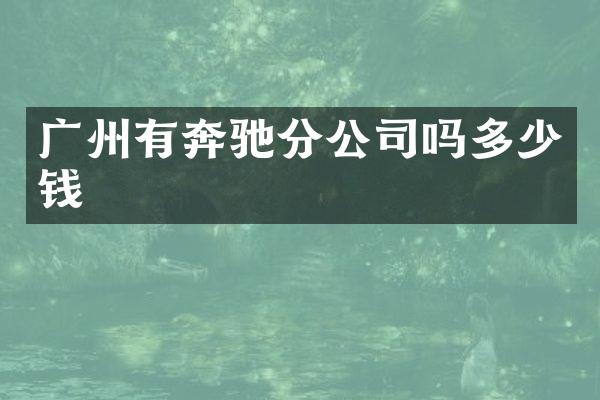 广州有奔驰分公司吗多少钱