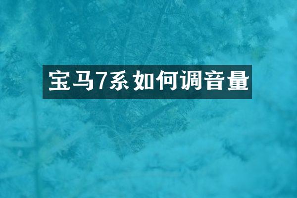 宝马7系如何调音量