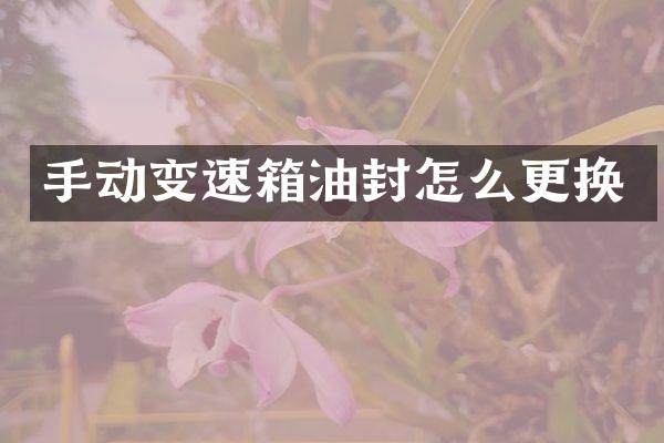 手动变速箱油封怎么更换