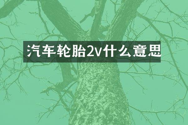 汽车轮胎2v什么意思