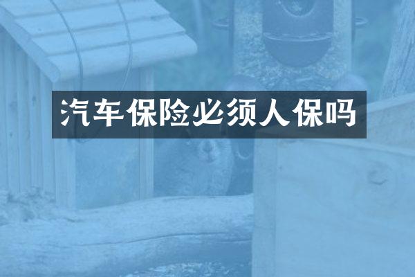 汽车保险必须人保吗