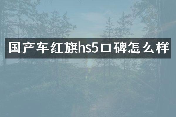 国产车红旗hs5口碑怎么样