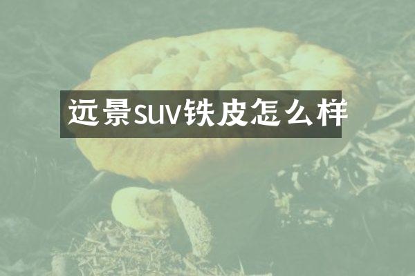 远景suv铁皮怎么样