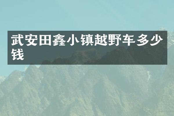 武安田鑫小镇越野车多少钱