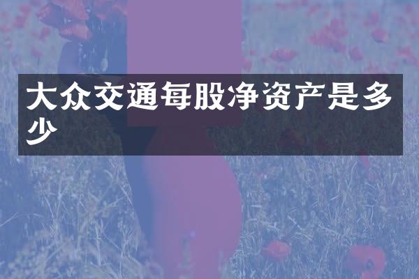 大众交通每股净资产是多少