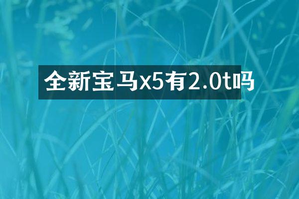 全新宝马x5有2.0t吗