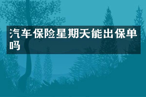 汽车保险星期天能出保单吗