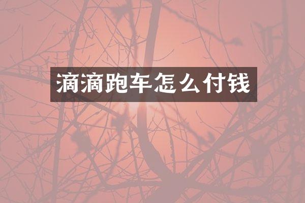滴滴跑车怎么付钱