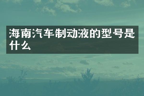 海南汽车制动液的型号是什么