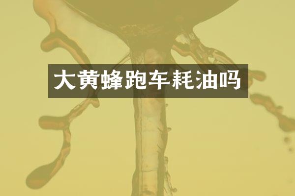 大黄蜂跑车耗油吗