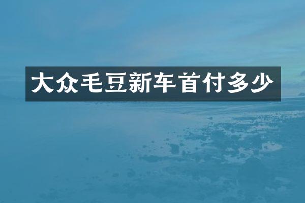 大众毛豆新车首付多少