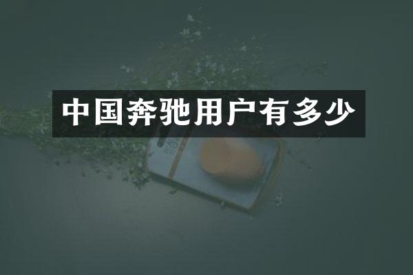 中国奔驰用户有多少