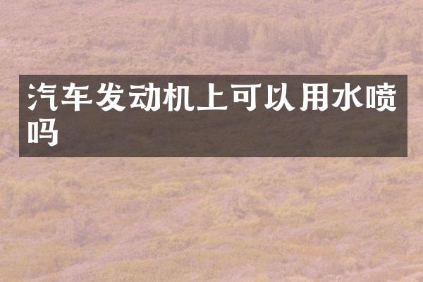 汽车发动机上可以用水喷吗