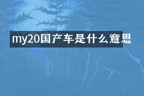 my20国产车是什么意思