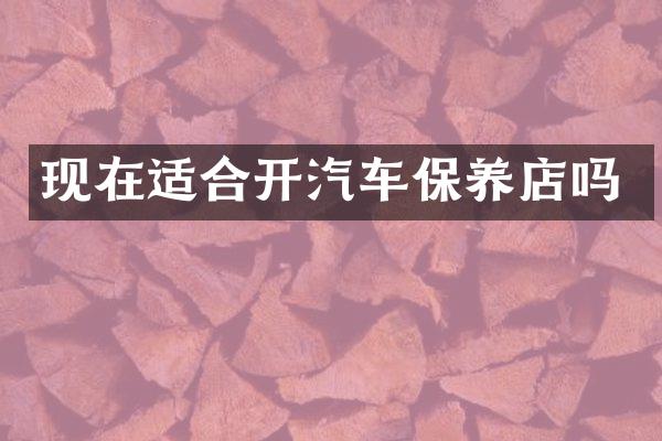 现在适合开汽车保养店吗