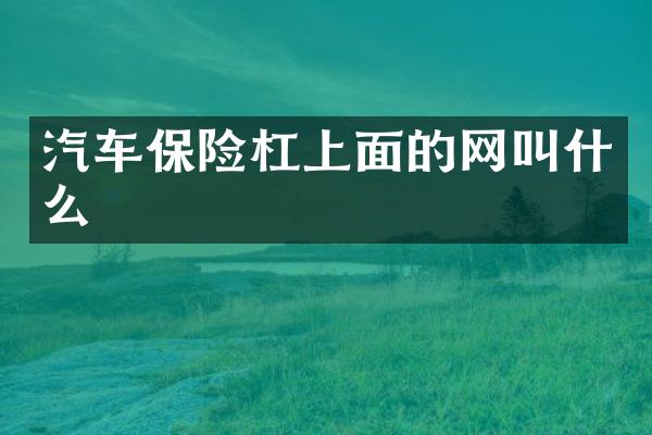 汽车保险杠上面的网叫什么