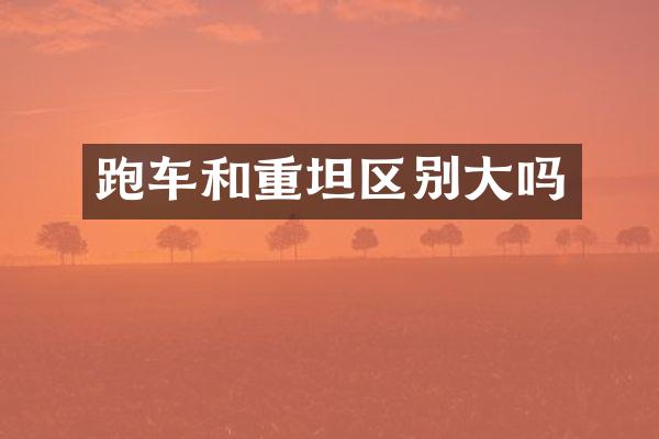 跑车和重坦区别大吗